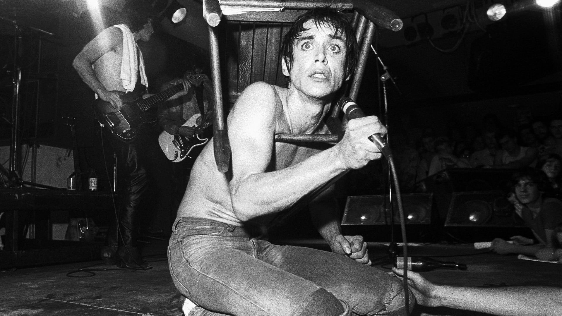 Iggy pop live 2025 san fran 1981