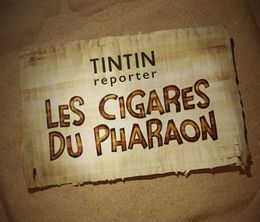 image-https://media.senscritique.com/media/000020869699/0/tintin_reporter_les_cigares_du_pharaon.jpg