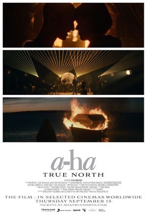 A-ha: True North