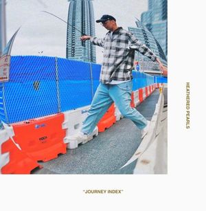 Journey Index (Single)