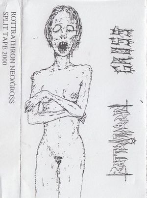 Split Tape 2000