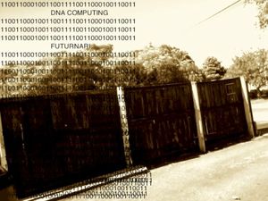 DNA Computing (EP)