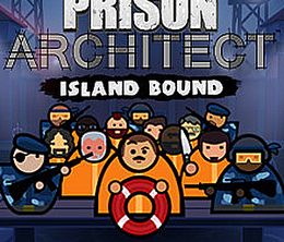 image-https://media.senscritique.com/media/000020878093/0/prison_architect_island_bound.jpg
