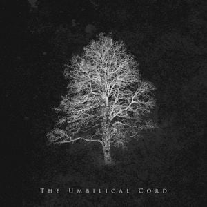 The Umbilical Cord