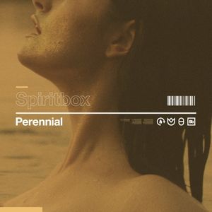 Perennial