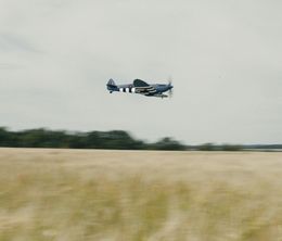 image-https://media.senscritique.com/media/000020883333/0/spitfire_over_berlin.jpg