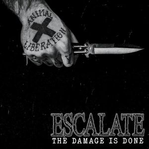 The Damage Is Done (EP)