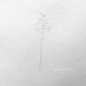 Into the White (The New Year 2016 free compilation)