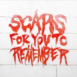 Scars For You to Remember