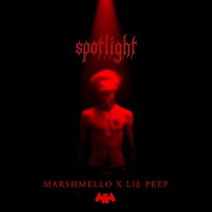 Spotlight (Single)