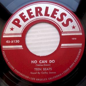 No Can Do / I Ain't Gonne Be Nobodys Fool (Single)