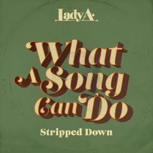 What a Song Can Do (stripped down) (Single)