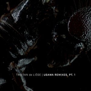 Usawa Remixes, Pt. 1 (EP)