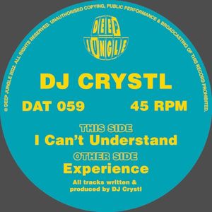Experience / I Can't Understand (Single)