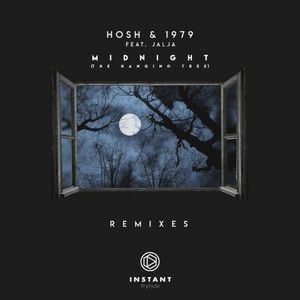 Midnight (The Hanging Tree) (MK remix)