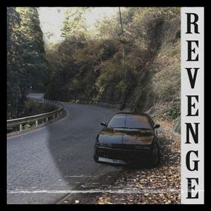 Revenge (Single)