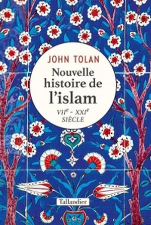 Nouvelle histoire de l'islam