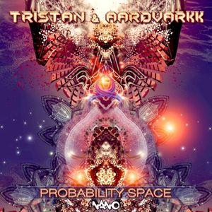 Probability Space (Single)