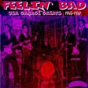 USA Garage Greats 1965-1967: Vol. 25: Feelin' Bad