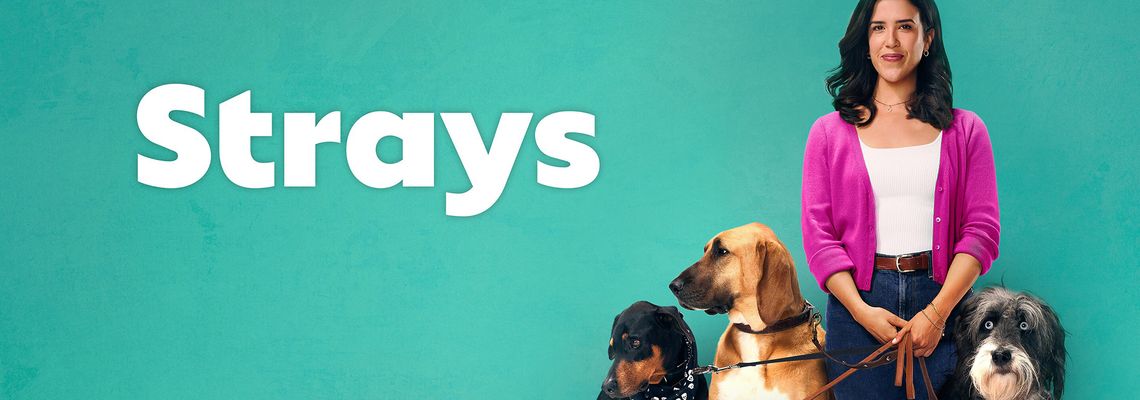 Cover Strays