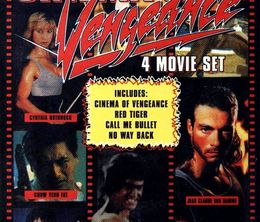 image-https://media.senscritique.com/media/000020906601/0/cinema_of_vengeance.jpg