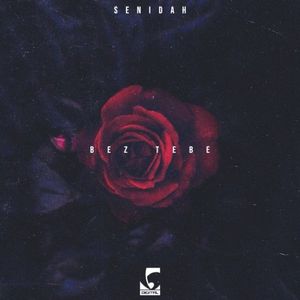 Bez Tebe (Single)