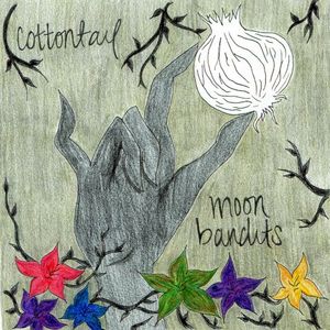 Cottontail & Moon Bandits split (EP)