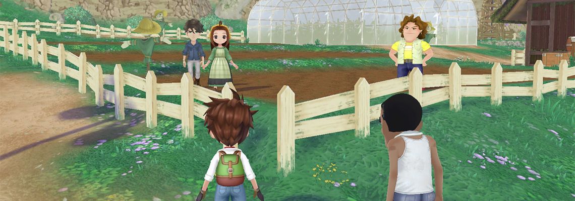 Cover Story of Seasons: A Wonderful Life