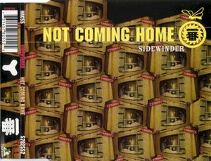 Noriega Donkertool's Second Theory of Optical Revelation