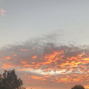 Sunsets (Single)