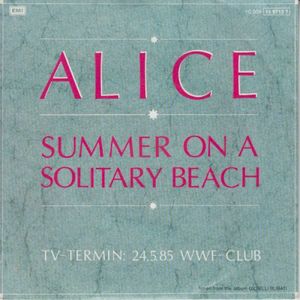 Summer on a Solitary Beach (Single)