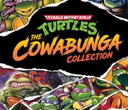 image-https://media.senscritique.com/media/000020912113/0/teenage_mutant_ninja_turtles_the_cowabunga_collection.jpg