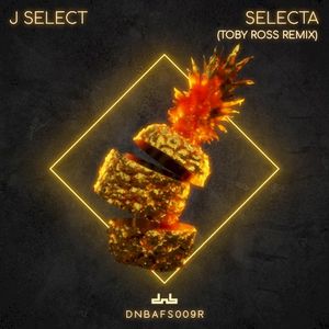 Selecta (Toby Ross remix)