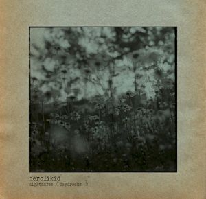 nightmares / daydreams