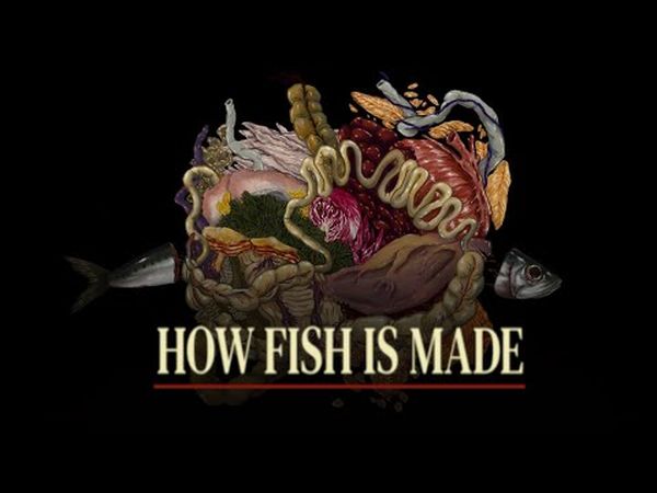 How Fish Is Made