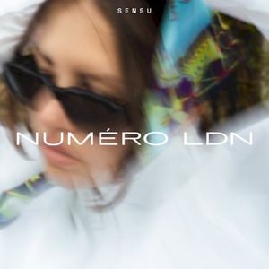 Numéro LDN (EP)