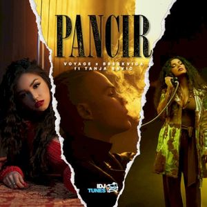 Pancir (Single)