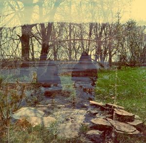 Two Weeks of Spring