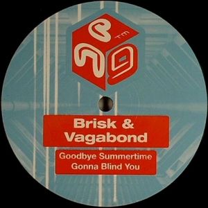 Goodbye Summertime / Gonna Blind You (Single)