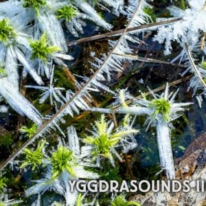 Yggdrasounds III