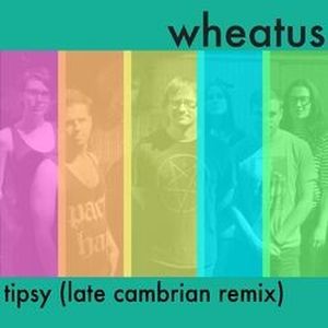 Tipsy (Late Cambrian remix)