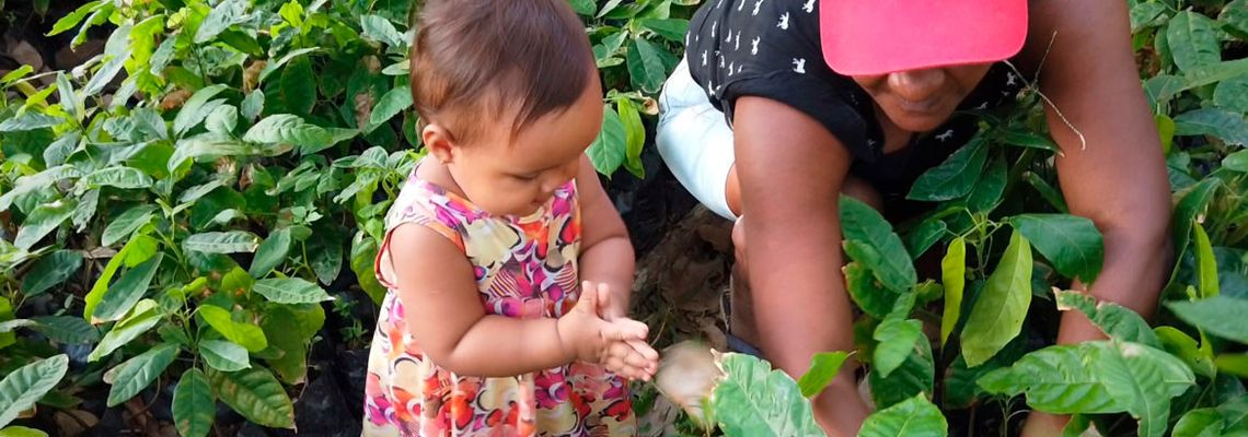 Cover La Mère de toutes les luttes