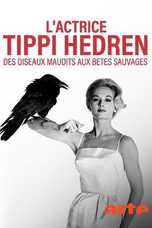 L'actrice Tippi Hedren - Des oiseaux maudits aux bêtes sauvages