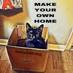 Make Your Own Home (Single)