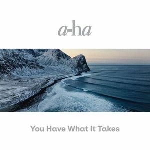 You Have What It Takes (Single)