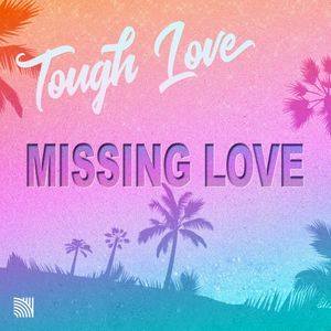 Missing Love (Single)