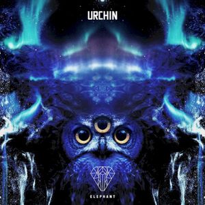 Urchin (no choir)