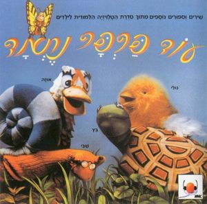 קופסא ולא יותר