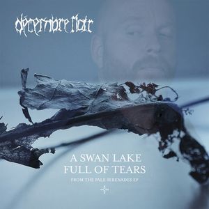 A Swan Lake Full of Tears (Single)