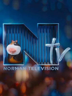 Norman Television